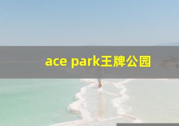 ace park王牌公园